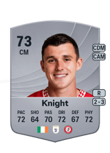 Knight 73