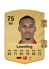 Leweling 75