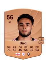 Bird 56