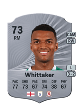 Whittaker 73