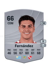Fernández 65