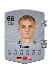 Tauer 66