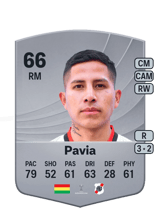 Pavia 66
