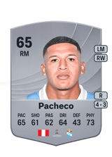Pacheco 65