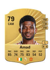 Amad 79
