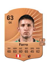 Farro 63