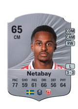 Netabay 65