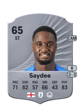 Saydee 65