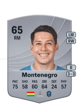 Montenegro 65