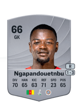 Ngapandouetnbu 66
