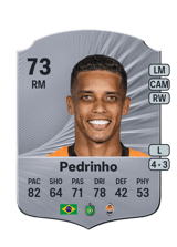 Pedrinho 73
