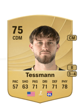 Tessmann 75