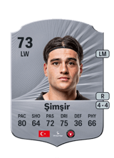 Şimşir 73