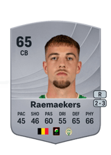 Toon Raemaekers 65