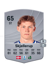 Skjellerup 65