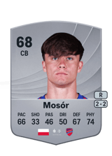 Ariel Mosór 68