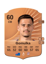 Gomulka 60