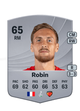 Milan Robin 65