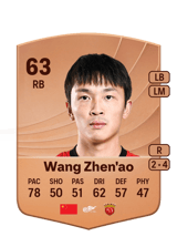 Wang Zhen'ao 63