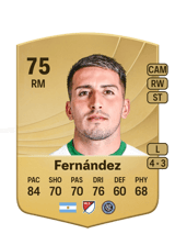 Fernández 75