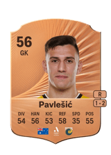 Pavlešić 56