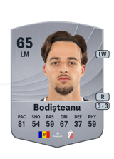 Bodișteanu 65