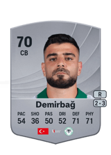 Demirbağ 70