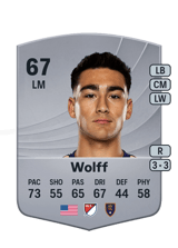 Wolff 67