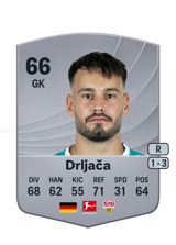 Drljača 66