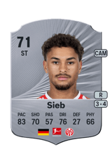 Sieb 71