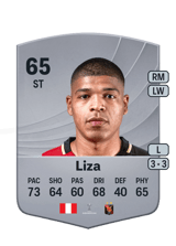 Liza 65