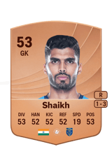 Shaikh 53