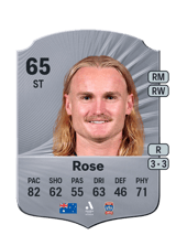 Rose 65