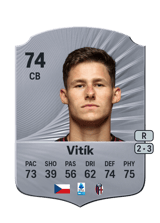 Martin Vitík 74