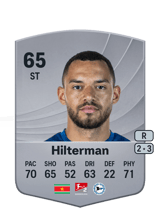 Hilterman 65