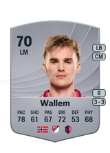 Wallem 70
