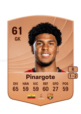 Pinargote 61
