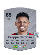 Felippe Cardoso 65