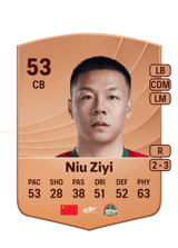 Niu Ziyi 53