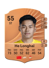 He Longhai 55