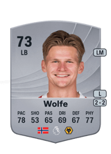 Wolfe 73
