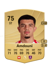 Amdouni 73
