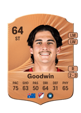 Goodwin 64