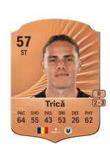 Trică 57