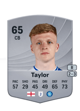 Taylor 65