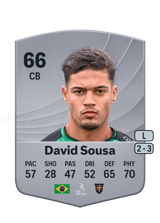 David Sousa 66
