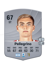 Mateo Pellegrino 67