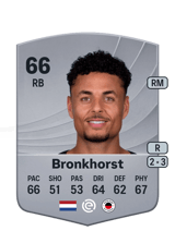 Bronkhorst 66