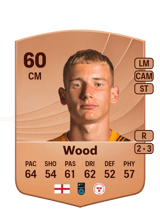 Harry Wood 60