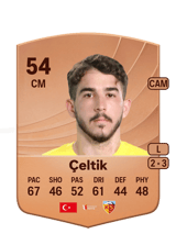 Çeltik 54